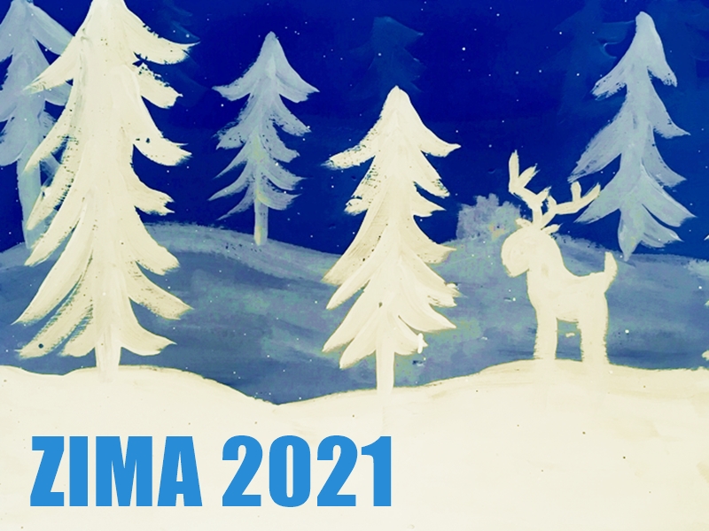 ZIMA 2021